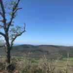 Panorama da Monte Cavone